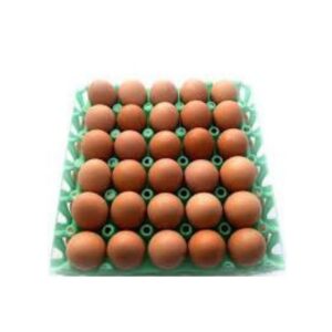 CRATE OF EGG