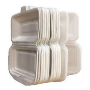 DISPOSABLE TAKE AWAY FOR FOOD