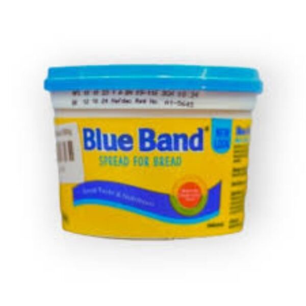 BLUE BAND SPREAD FOR BREAD 450G