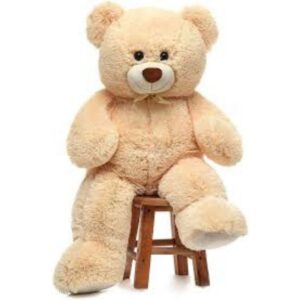 BIGGER TEDDY BEAR