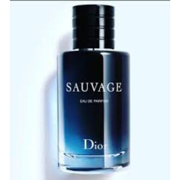SAUVAGE ORIGINAL 100MLE
