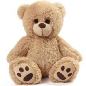 LOCAL TEDDY BEAR
