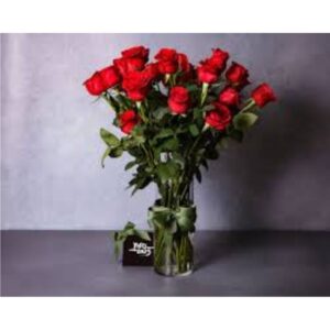 LONGEST ROSE FLOWER