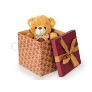 BOX TEDDY BEAR