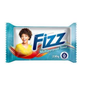 FIZZ DETERGENT POWDER 150G
