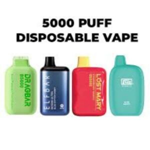 5000 PUFFS DISPOSABLE VAPE