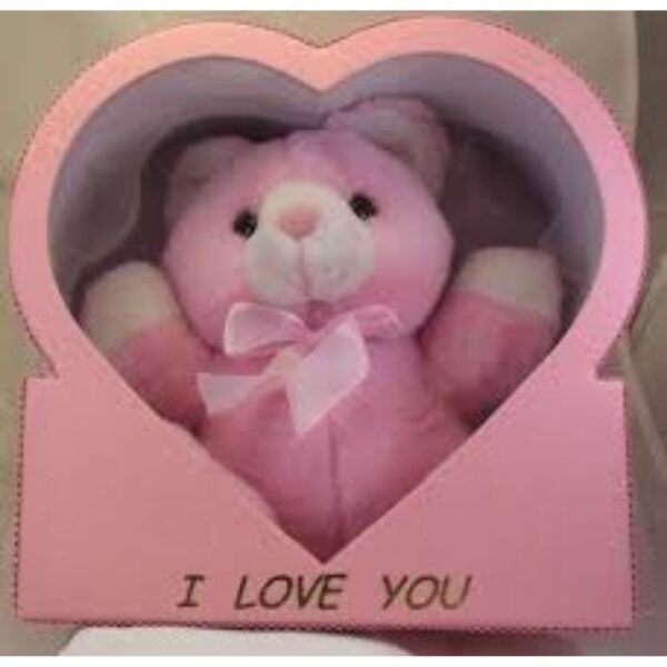 BOXED I LOVE U TEDDY