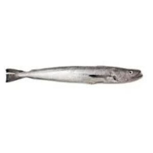 HAKE FISH