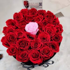 ROSE FLOWER