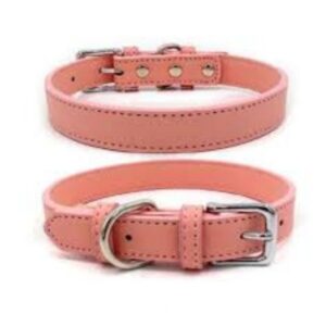 MEDIUM COLLAR