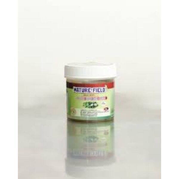 NATURE FIELD HAIR CREAM 100G - Image 2