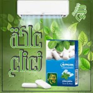DANDASH GUM & MINT SHISHA FLAVOUR