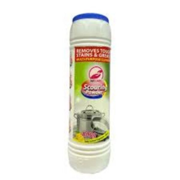 WECARE SCOURING POWDER 800G - Image 2