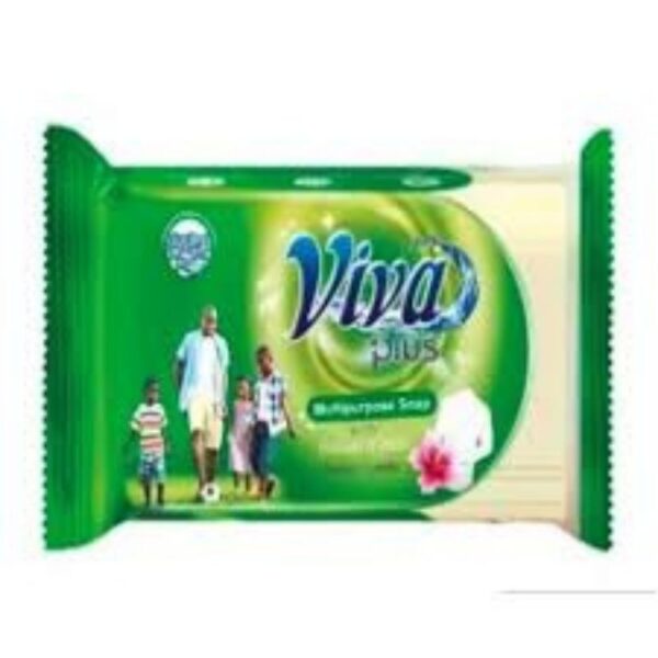 VIVA PLUS MULTIPURPOSE SOAP 250G