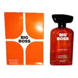 BIG BOSS BE DIFFERENT EAU DE PARFUM 100ML