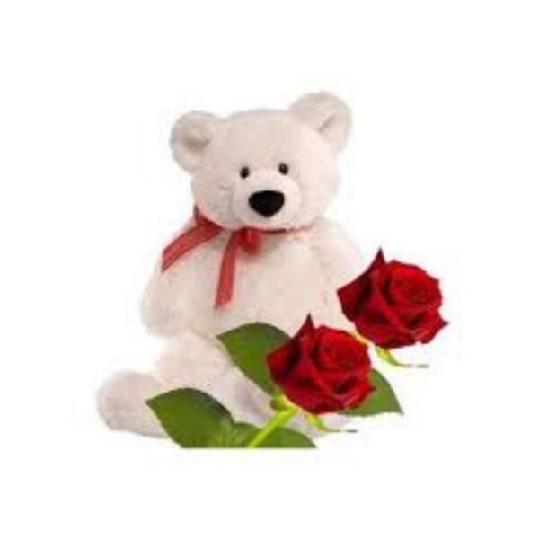 VALENTINE ROSE WITH TEDDY