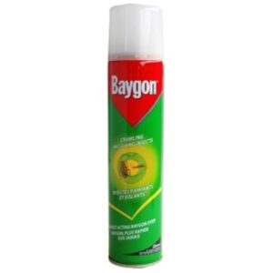 BAYGON FAST ACTING INSECT KILLER 300ML
